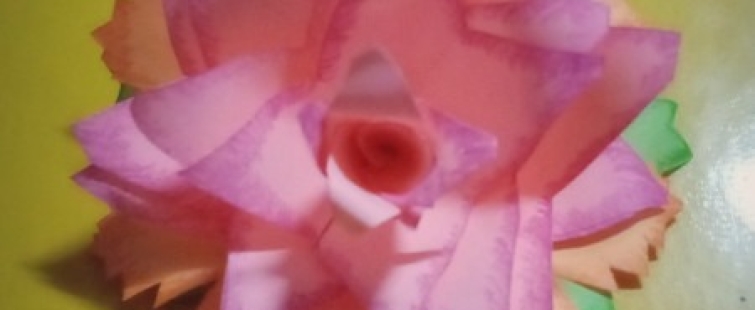 Powiększ obraz: Sara - róża